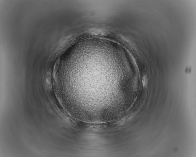 X0000092011396200709201520