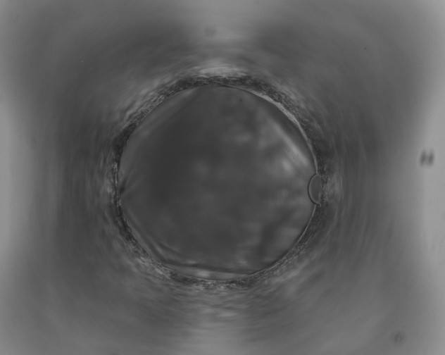 X0000092011397200709201520