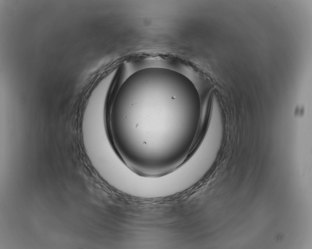 X0000092011398200709201520