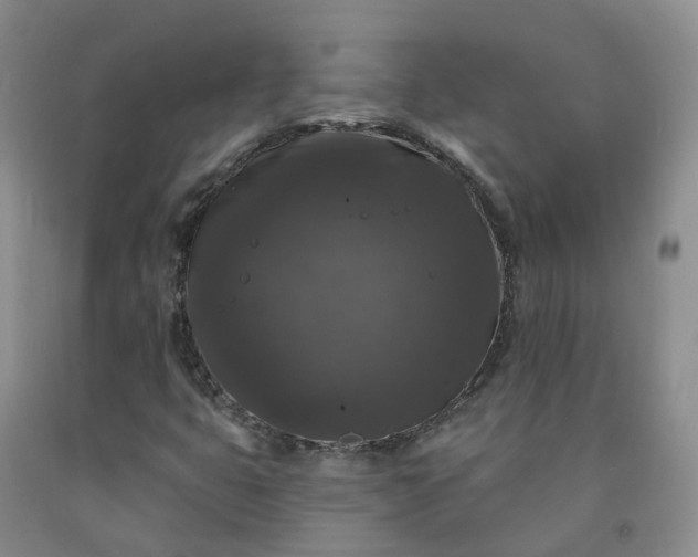X0000092011399200709201520