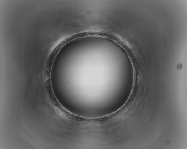 X0000092011400200709201520