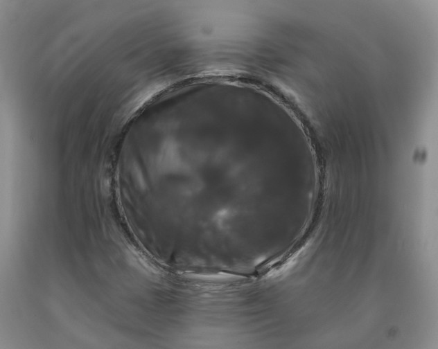 X0000092011401200709201520