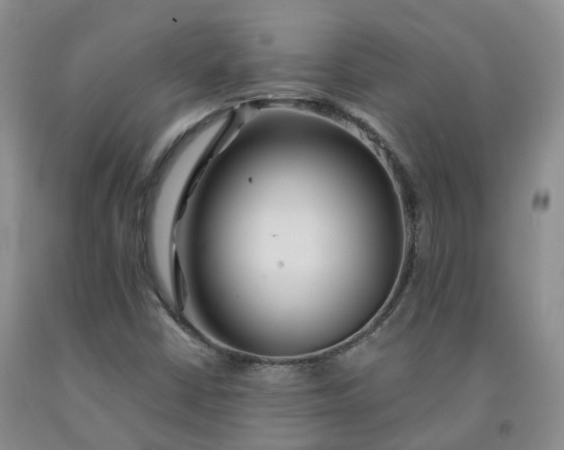 X0000092011402200709201520