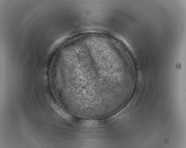 X0000092011403200709201520