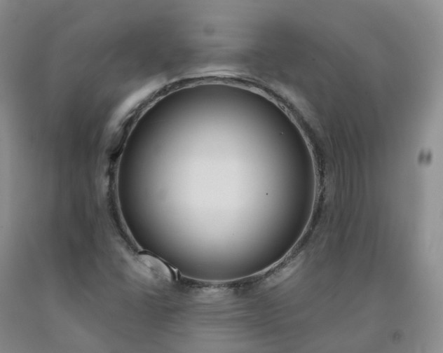 X0000092011406200709201520