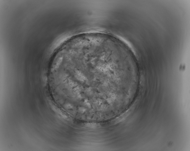 X0000092011407200709201520