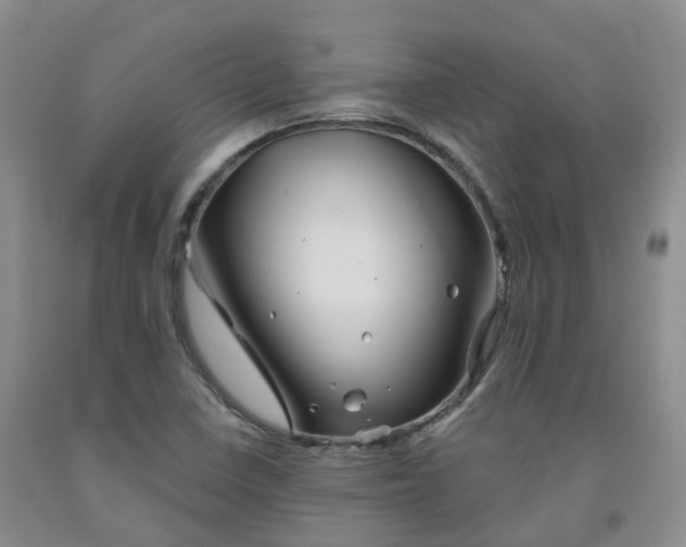 X0000092011410200709201520