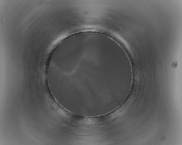 X0000092011411200709201520