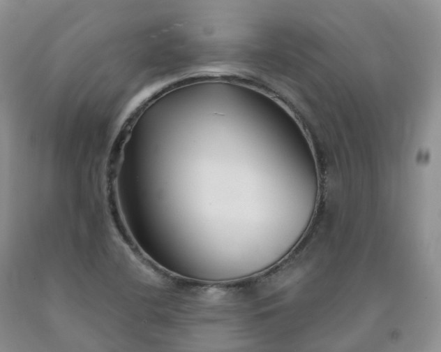 X0000092011412200709201520