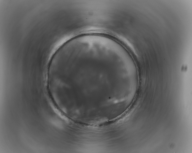 X0000092011413200709201520