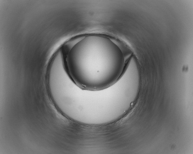 X0000092011414200709201520