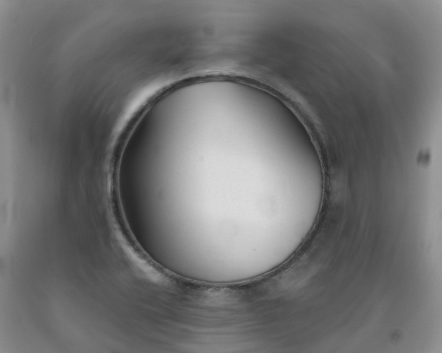 X0000092011416200709201520