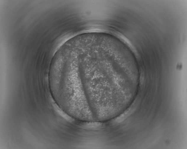X0000092011417200709201520