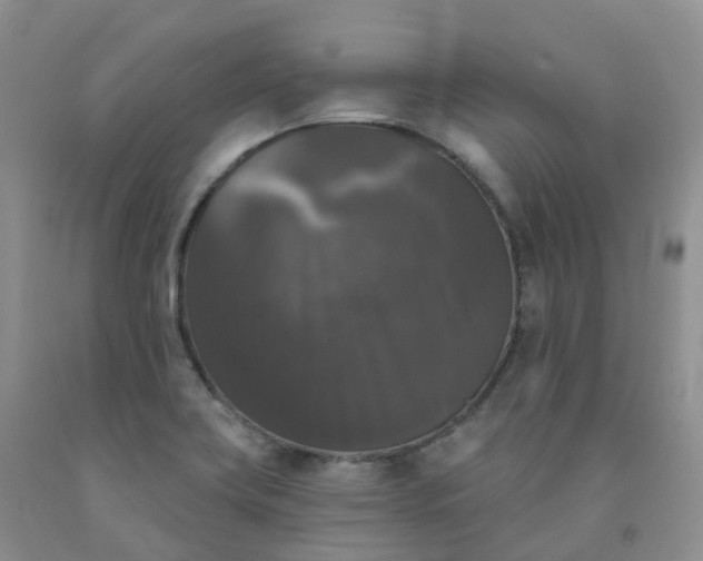 X0000092011419200709201520