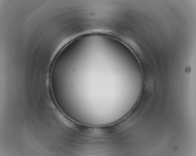 X0000092011420200709201521