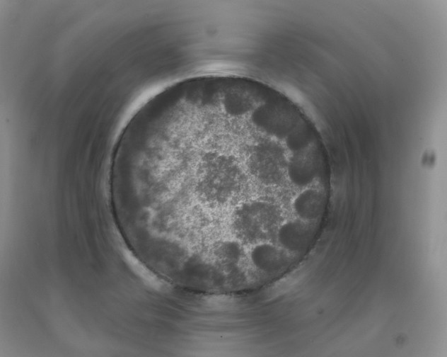 X0000092011421200709201521