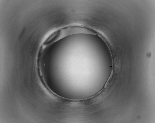 X0000092011422200709201521