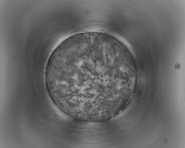 X0000092011423200709201521