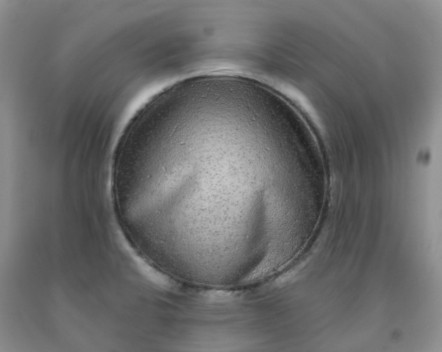 X0000092011424200709201521
