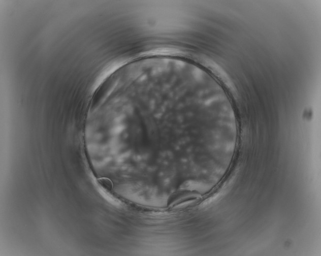 X0000092011425200709201521