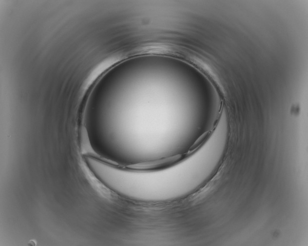 X0000092011426200709201521
