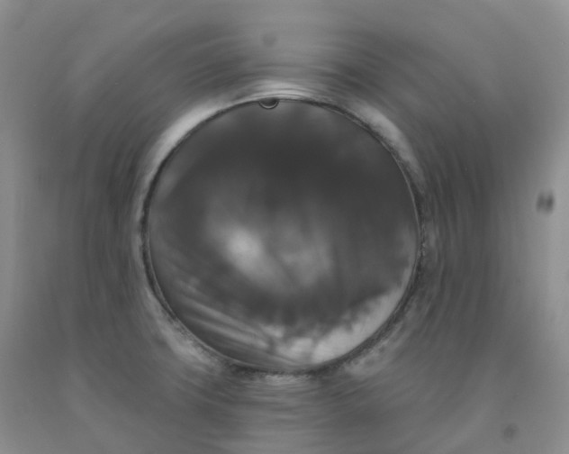 X0000092011427200709201521