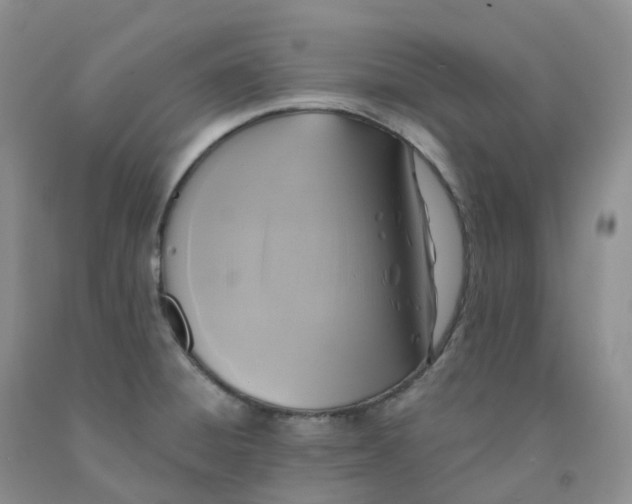 X0000092011428200709201521
