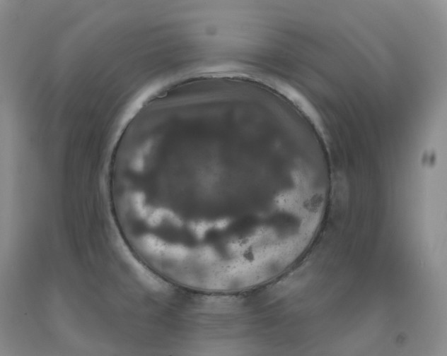 X0000092011429200709201521