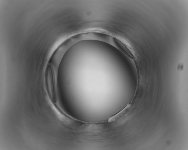 X0000092011430200709201521