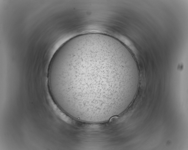 X0000092011431200709201521