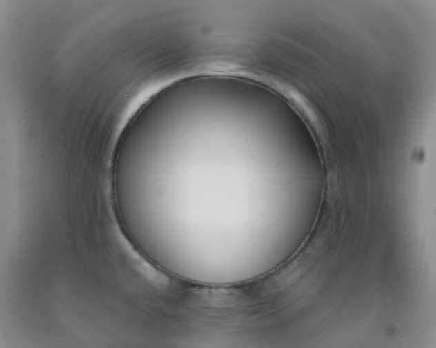 X0000092011432200709201521