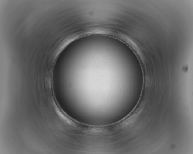 X0000092011433200709201521