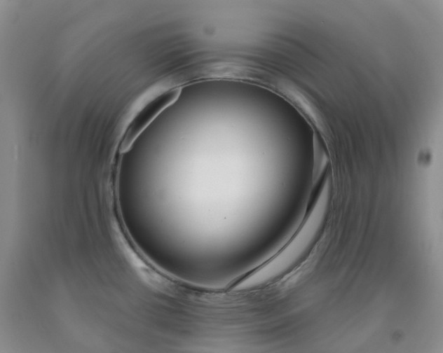 X0000092011434200709201521