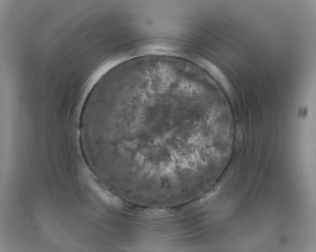 X0000092011435200709201521
