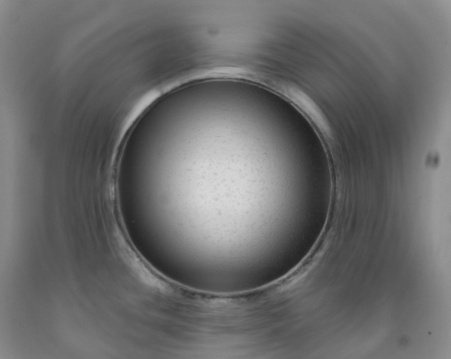 X0000092011436200709201521