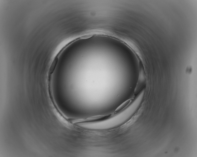 X0000092011438200709201521