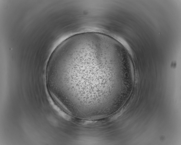 X0000092011439200709201521