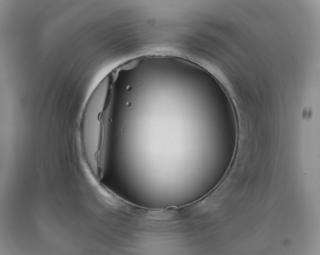 X0000092011440200709201521