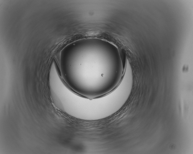X0000092011441200709201520