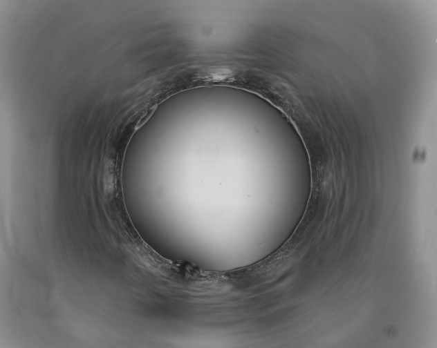 X0000092011442200709201520