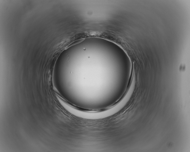 X0000092011443200709201520