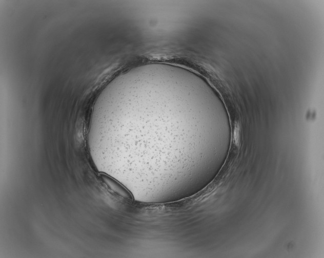 X0000092011444200709201520
