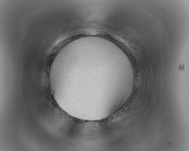 X0000092011446200709201520