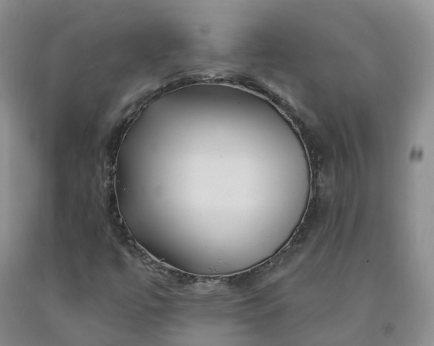 X0000092011447200709201520