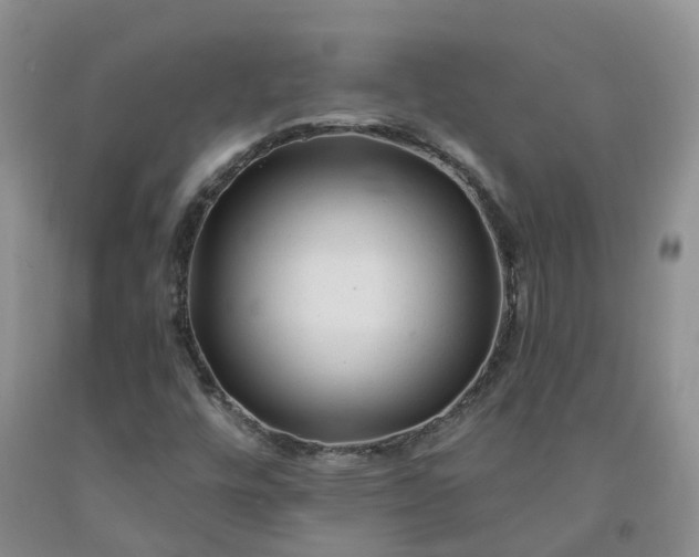 X0000092011448200709201520