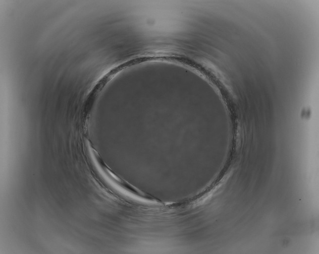 X0000092011449200709201520