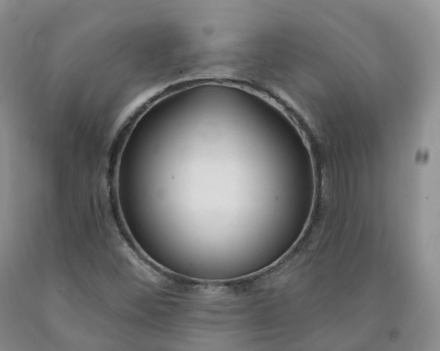 X0000092011452200709201520