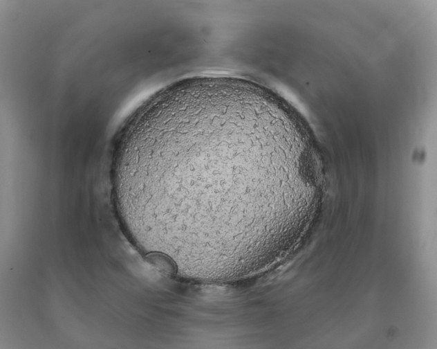 X0000092011456200709201520