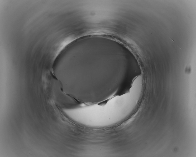 X0000092011457200709201520