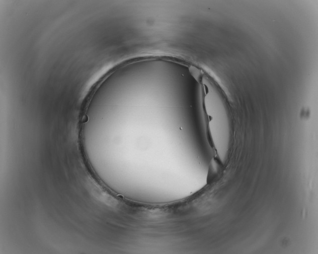 X0000092011460200709201520